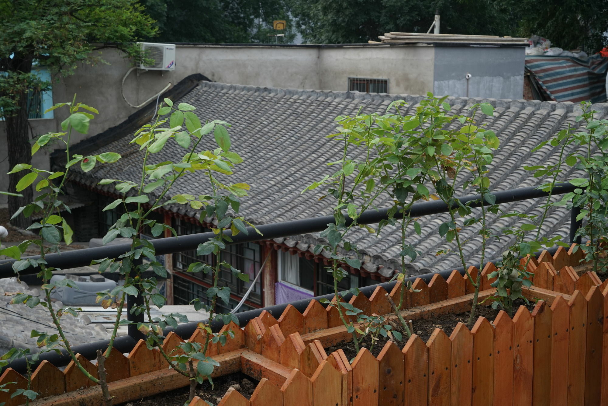 Garden Inn Bắc Kinh Ngoại thất bức ảnh